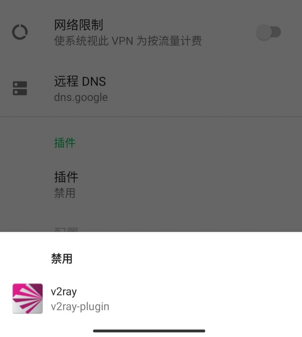 2023年使用Docker自建shadowsocks + v2ray-plugin翻墙教程