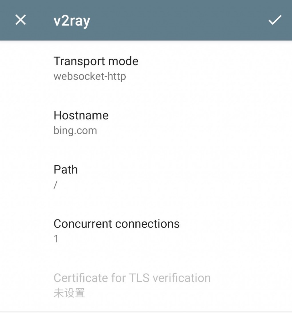 2023年使用Docker自建shadowsocks + v2ray-plugin翻墙教程