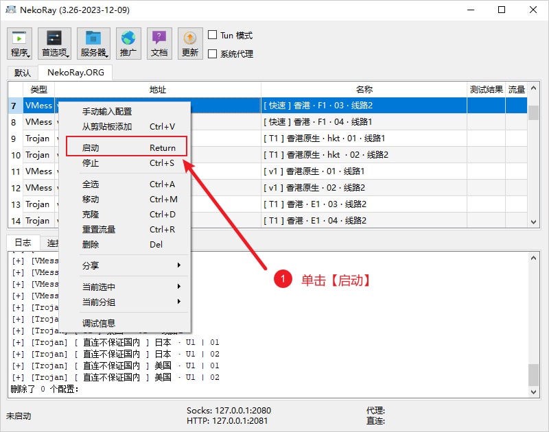 NekoRay启动节点